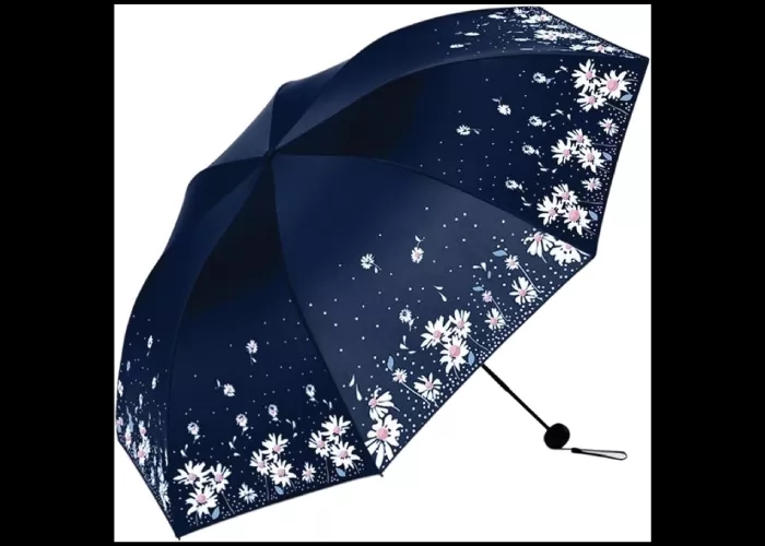 Foldable Umbrella